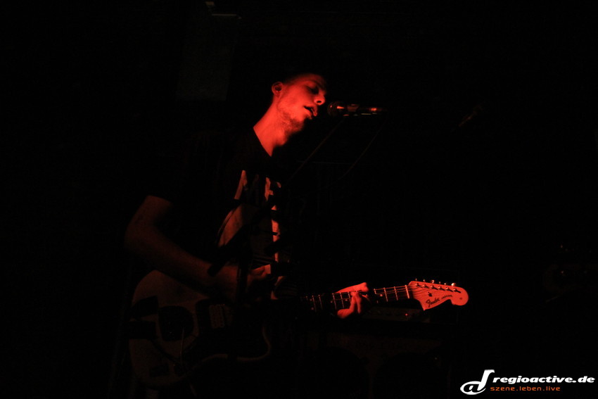 Die Nerven (live in Mannheim, 2013)